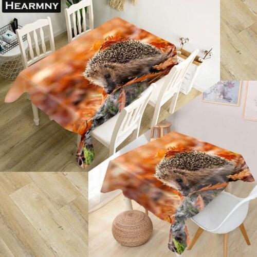 Custom Hedgehog Tablecloth Decorations Home Rectangular Party Table Covers Office Plain More Size Kitchen Dining Table