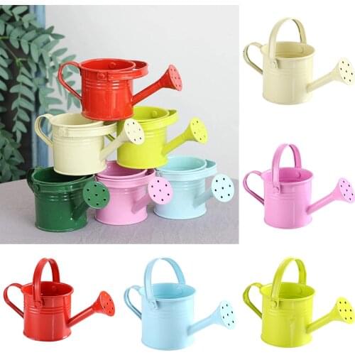 NEW Water Cans Home Plant Pot Watering Can Spray Bottle Portable Wrought Iron With Handle Gardening Tools Metal Sprinkled Shower