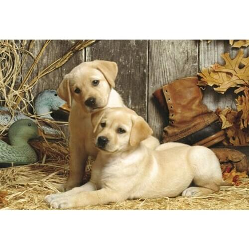 Round 5D DIY Diamond Painting Animal dog Diamond Embroidery Sale Full Square Pictures Of Rhinestones mosaic Decoration Kit TY952