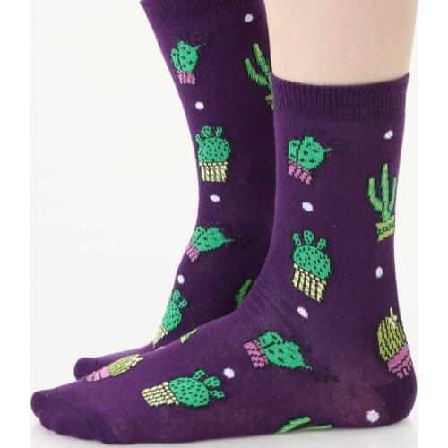 3 pair from turkey high quality cotton happy socks Man Men summer lot pack wholesale socs design purple cactus plant herb funny