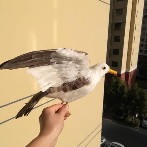 Real life toy bird large 35x60cm seagull model foam&feathers bird spreading wings seagull, garden decoration props gift d2577