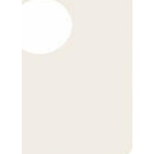 300pcs Microwave Oven Mica Plates Sheets Repairing Part 18mm x 22mm x 0.09mm