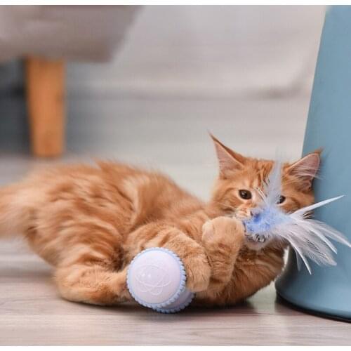 Smart Interactive Pet Dog Cat Toy LED Light USB Charging Glow Tumbler Pet 360 Degree Self Rotating Ball Toy for Pet Cat Supplies
