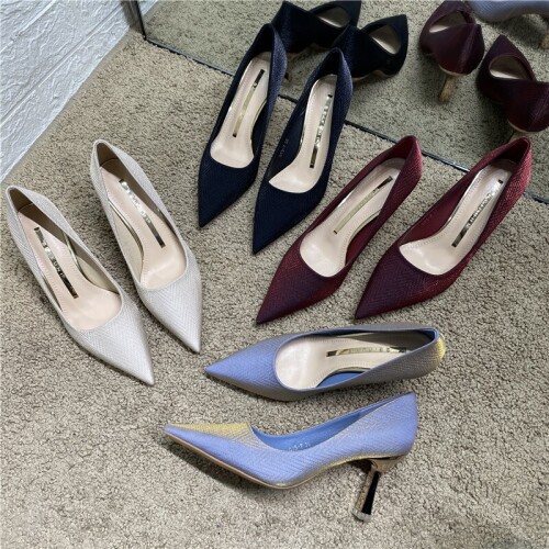 Women Classic Pumps Extreme High Heels Sexy Stilettos Ladies Pointed Toe Shoes Professional OL Womens Shoes Wedding Bridal Shoe