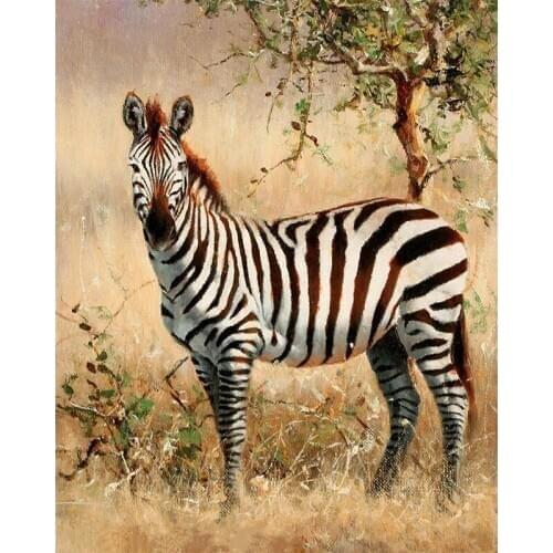DIY 5D full diamond painting animal zebra cross stitch set diamond embroidery pattern mosaic gift home decoration craft G832