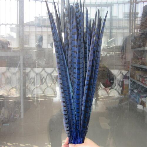 YY-tesco 50 Pcs Pheasant Tail Feathers 20-22inch 50-55CM jewelry Wedding Decorations Natural Royal blue Pheasant Feather Plume