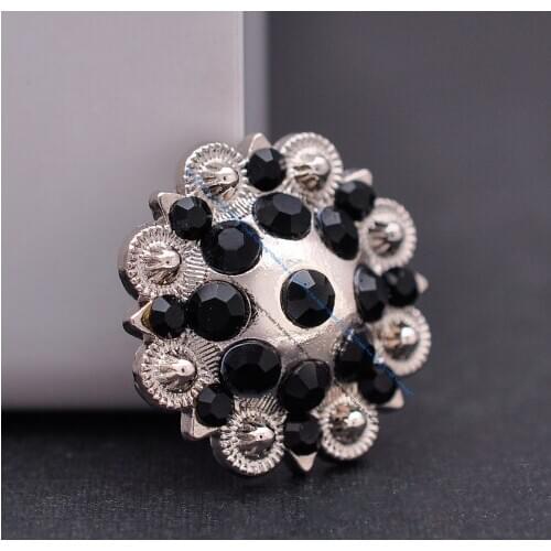 Western Horse Saddle Bridle Berry Black Rhinestone Leathercraft Beast Spur Collar Conchos Decor