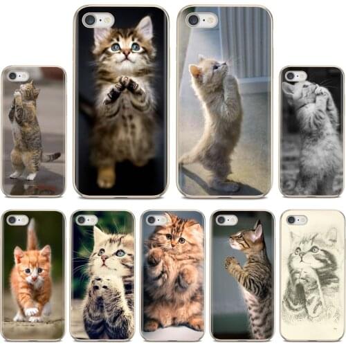 Pretty Praying Kittens Cats Print Soft Skin Case For Samsung Galaxy A10 A40 A50 A70 A3 A5 A7 A9 A8 A6 Plus 2018 2015 2016 2017