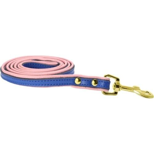 Traumdeutung Leashes For Dogs