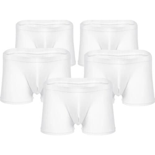 5Pcs Mens Lingerie Sexy Boxer Briefs Bulge Pouch Stretchy Fabric Comfortable Breathable Shorts Underpants Male Erotic Underwear