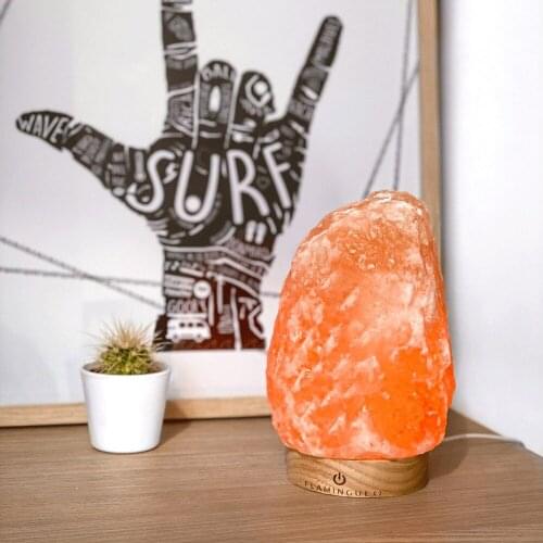 Flamingueo Lamps With Lampshade