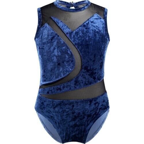 Kids Sleeveless Comfortable Pleuche Mesh Splice Dancewear Gymnastics Leotard for Girls Stage Performance Ballet Dance Costume