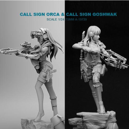 1/24 Resin Kits Killer Whale Beauty Shooter + Modern Female Archer Resin Soldier (2piece) (75mm) A-19739