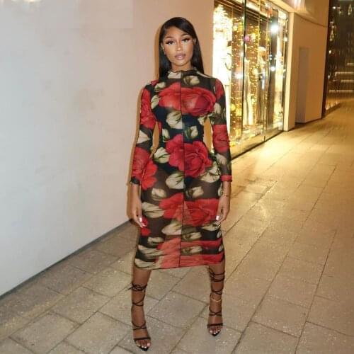 Sexy Sheer Mesh Rose Print Bodycon Long Dress Women Elegant Long Sleeve See Through Night Club Party Dresses Robe Femme