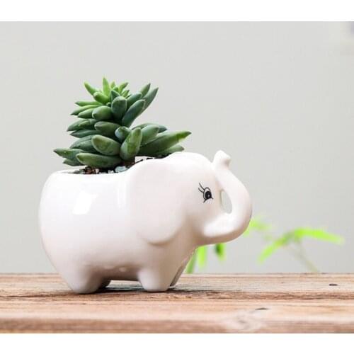 Kawaii Ceramic Flowerpot Succulent Planter Cute Green Plants Flower Pot With Hole Succulent Pot Planter Pot Office Decoration