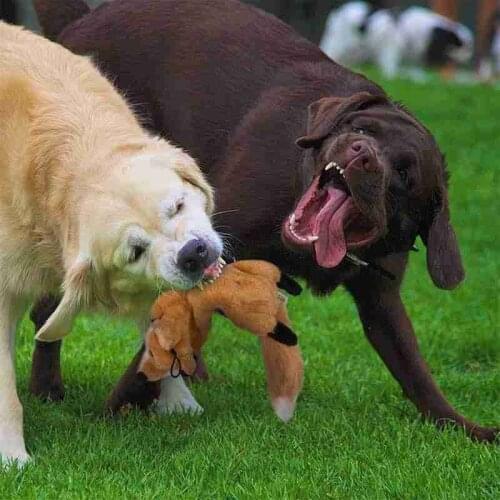 Dog Simulation Animal Sound Leather Shell Toy 100% Polyester for Fabric Made of Soft Non-Toxic Material and Animal Shape