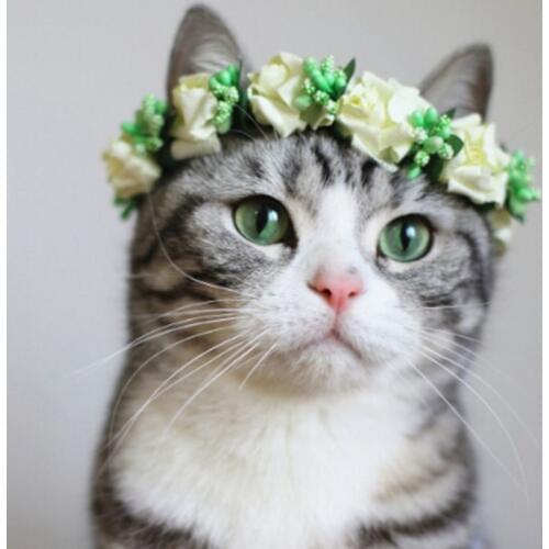 [MPK Store] Flowery Head Band for Cats, Pet Wedding Collars, Cat Collars