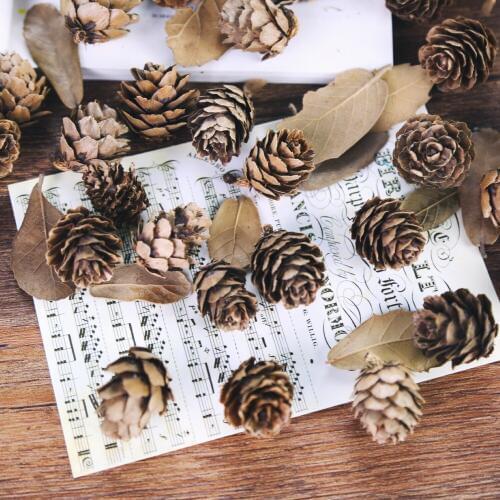 5pcs/lot Natural Mini Pine Nuts Cedar Fruit For Home Wedding Christmas Tree Decoration for Photography Accessories Photos Props