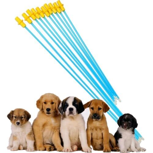 5PCS professional canine care artificial insemination disposable pipe plastic pets dog pet equipment device pipes clinic tools