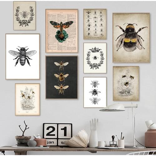 Vintage Bees Poster Bumblebees Flies Print Insect Illustration Entomology Wall Art Canvas Painting Education Science Wall Decor