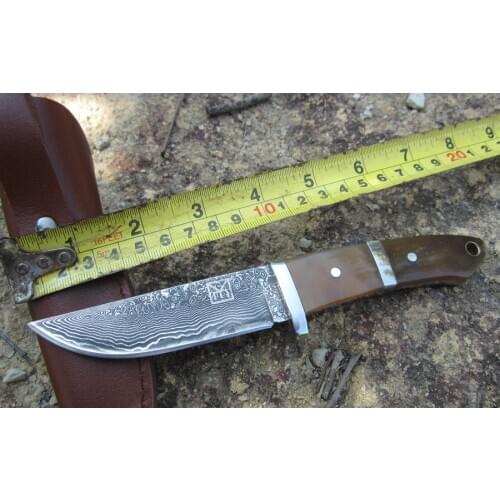 Hand Tools fruit knife, Camping outdoor survival knife, Damascus steel knife, Gift Knife for Collection