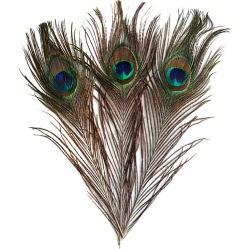 10Pcs Peacock Eye Tail Feathers for Millinery/Hat/Mask Making 9-13 Inch