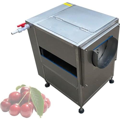 Root Vegetable Fruit Ginger Potato Roller Peeler Washing Peeling Cleaning Machine