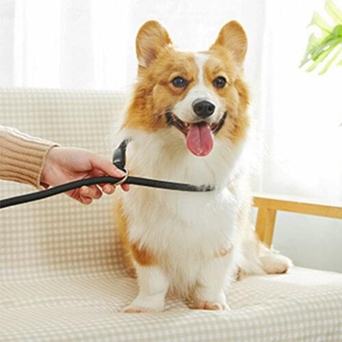 Nylon Dog Harness Leash For Medium Large Dogs Leads Pet Training Running Walking Safety Mountain Climb Dog Leash Ropes Supplies