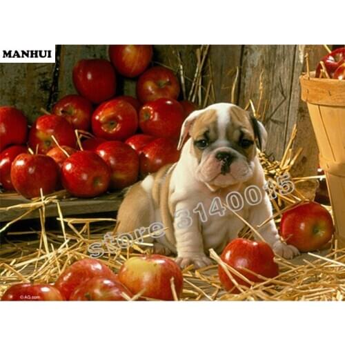 DIY Diamond Painting Animal Diamond Cross Stitch Crystal Spuare Diamond Sets Unfinished Full Diamond Embroidery Apple dog BFC101