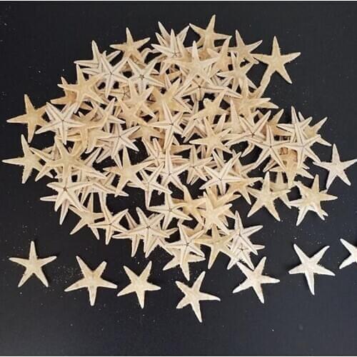 100Pcs 0.5-3cm Mini Starfish Craft Decoration Natural Sea Stars DIY Beach Cottage Wedding Decor Crafts Wedding