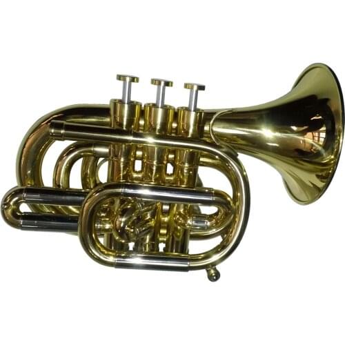 Professional Gold lacquer Pocket Trumpet Tone Bb