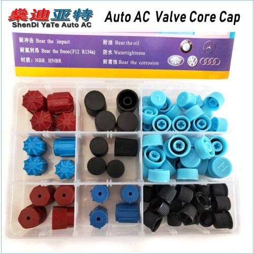 84pcs, A/C R134a R12 Air Conditioning Valve Core Cap Service Port Fitting Seat Cap for Bmw VW Benz Jetta Buick Car Auto AC pipe