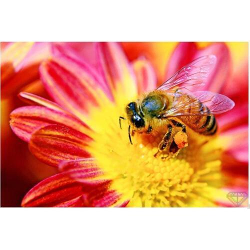 Diy full square diamond painting bee flowers rhinestone embroidery picture kits diamond dotz toys mosaic art wall sticker decor