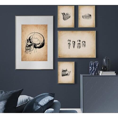 Human Medical Tooth Anatomy Science Vintage Canvas Painting Posters Prints Nordic Wall Art Pictures Medical Doctor Clinic Decor