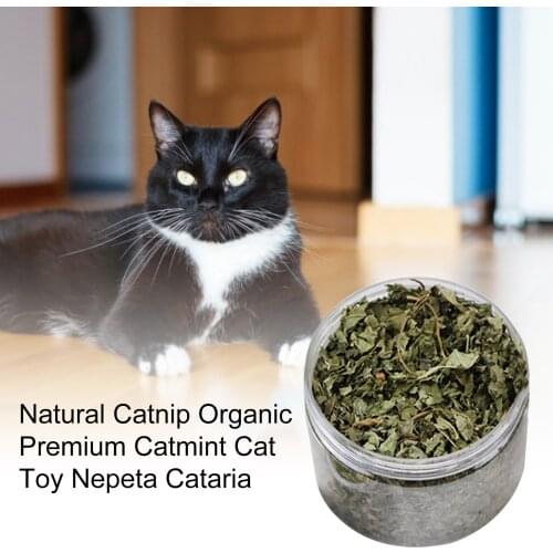 New 100% Natural Premium Catnip Cattle Grass 20g/30g Menthol Flavor Funny Cat Toys Pet Healthy Safe Edible Treating