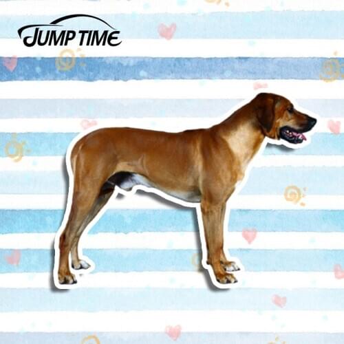 Jump Time 13cm x 9.5cm Rhodesian Ridgeback Dog Vinyl Decal Laptop Travel Luggage Car Sticker Helmet Waterproof 3D Car Styling