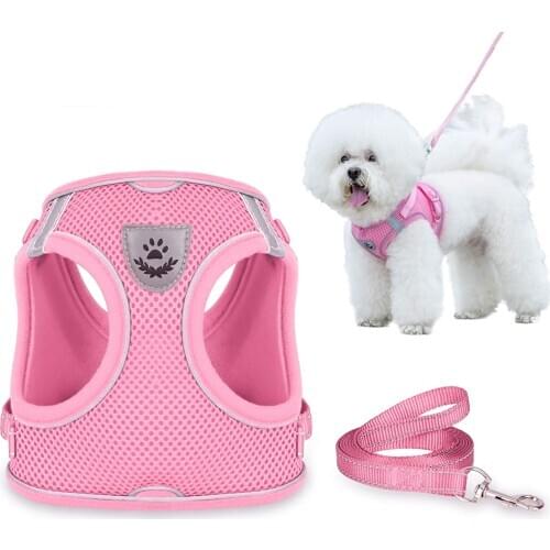 Ошейники для кошек YOUSE China At AliExpress