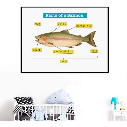 Wall Art Prints Diagram Showing Parts Fish Tiger Horse Owl Nordic Posters Canvas Painting Pictures Baby Kids for Living Room