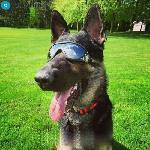 YourKith Dog Accessories