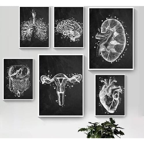 Black & White Anatomy Art Human Canvas Painting Heart Lung Brain Gut Uterus Wall Print Poster Pictures For Doctor Office Decor