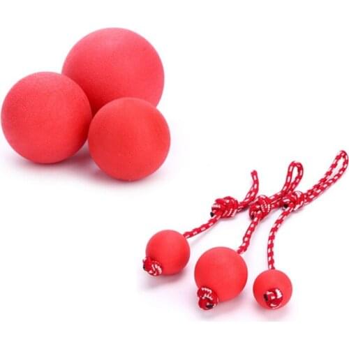 Pet Dog Toys Funny Interactive Elasticity Ball Pet Chew Toy For Puppy Dogs Pet Bite Resistant Teething Training Toy Pet Supplies