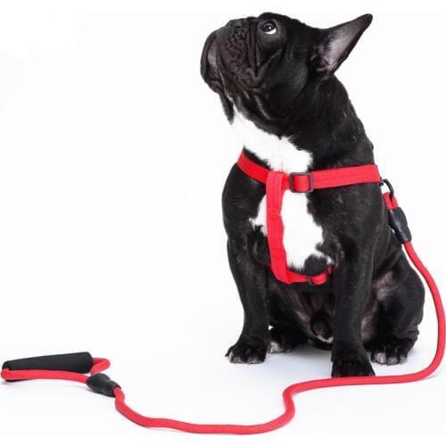 Hot Sale Nylon Rope Handle Adjustable 6 Colors Large Dog Harness and Leash For Small Medium Large Dog Animals Dog Leash