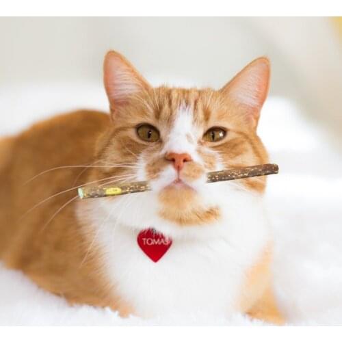 Natural Catnip Pet Cat Toy Molar Toothpaste Branch Cleaning Teeth Silvervine Matatabi Cat Snacks Sticks