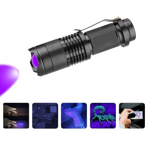 Minded Portable Lamps