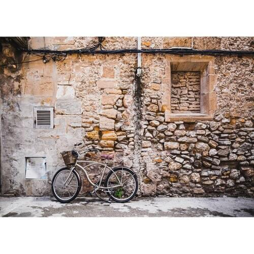 Shabby Brick Wall Bicycle Photo Background Computer Printed Photography Backdrop for Children Baby Portrait Photoshoot Props