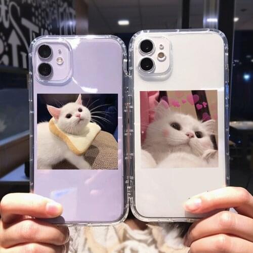 ZUIDID Cute Cartoon Cat Pattern Clear Phone Case For iPhone 11 Pro 12 X XS MAX XR SE20 7 8 6Plus Shockproof Soft TPU Cover Coque
