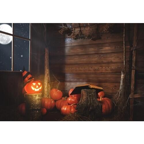Halloween photography backgrounds vinyl vintage house photo backdrops set for photographer studio accessories fotografia HA-250