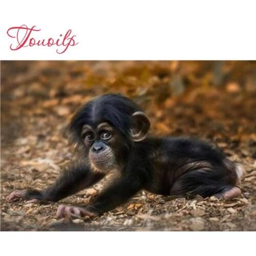 De Kleine Baby Aap spuare&round 5d diamond painting crystal Painting diamonds decorative diy diamond embroidery kits