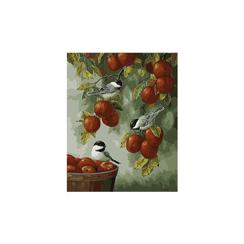 MaHuaf-W697 Bird fruit painting by numbers on canvas home decor unique DIY gift craft paint