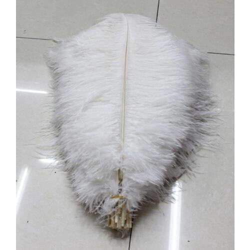 Wholesale Quality 10pcs perfect Leniency Male white natural ostrich feather 12-14inch/30-35cm decorative diy